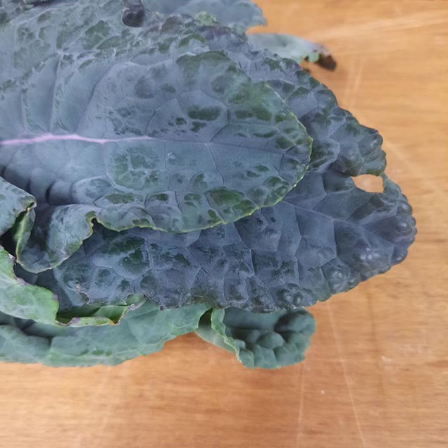 Kale (spray free)