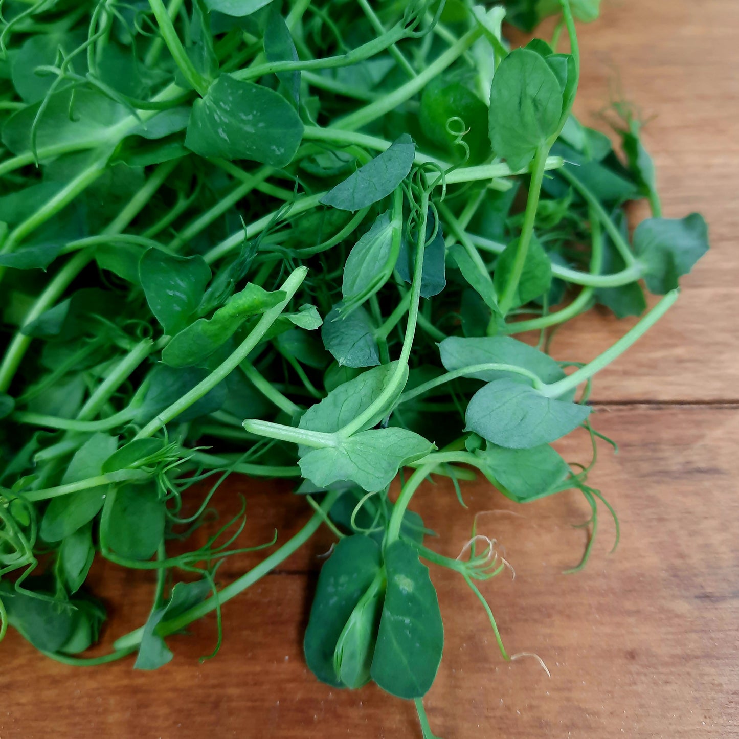 Peashoots (spray free)