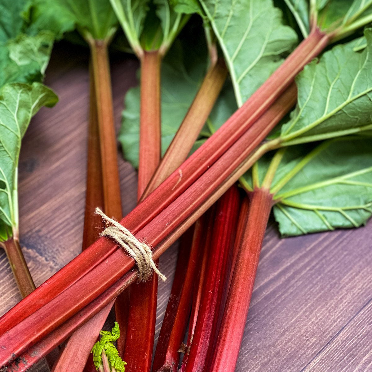 Close-up of red rhubarb stalks with green leaves on a wooden surface