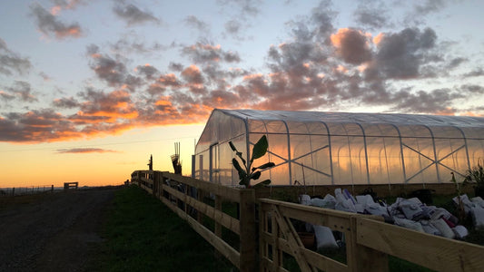 The journey to human scale farming