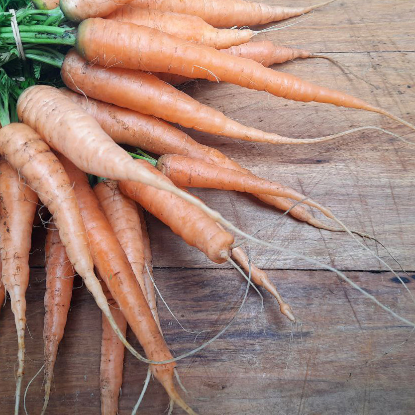 Carrots (spray free) p/ 100g – The Micro Farm