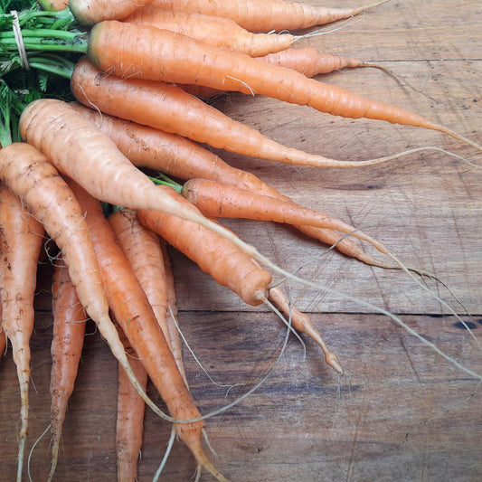 Carrots