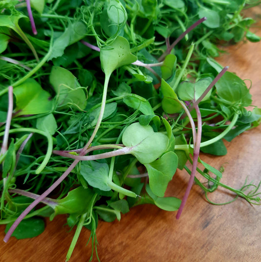 Microgreen Mix