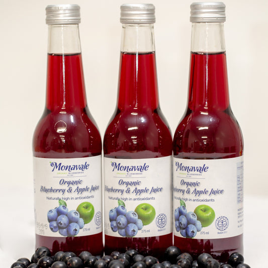 Blueberry & Apple Juice (Organic)