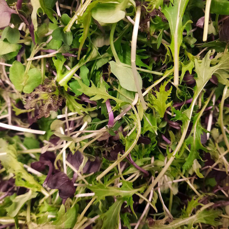 Salad Mix (spray free)