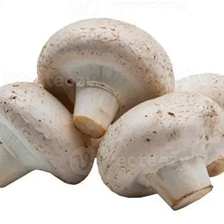 Fresh white button mushrooms on a white background