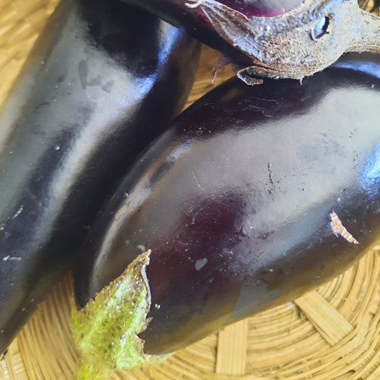 Eggplant