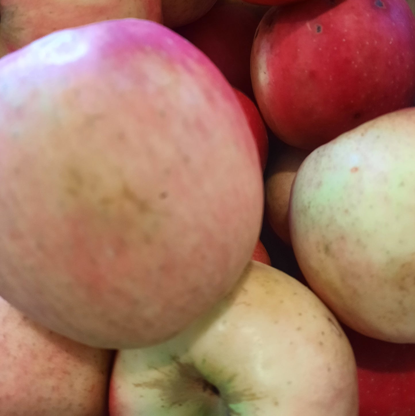 Apples - Pink Lady (Organic)