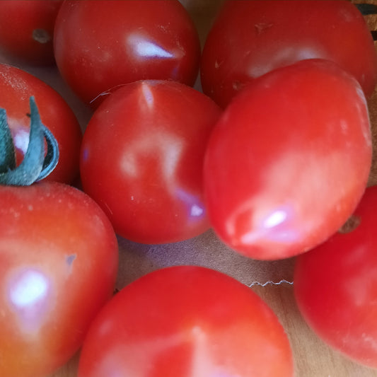 Cherry Tomatoes (Little Pirongia Farms)
