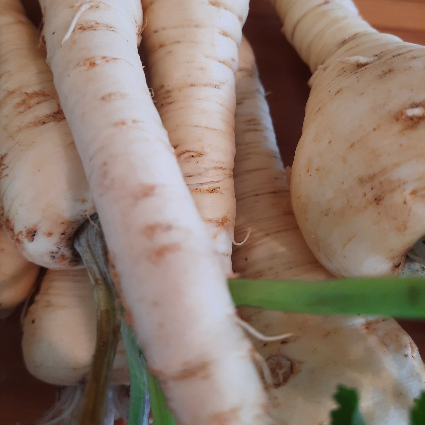 Parsnip (spray free) p/ 100g