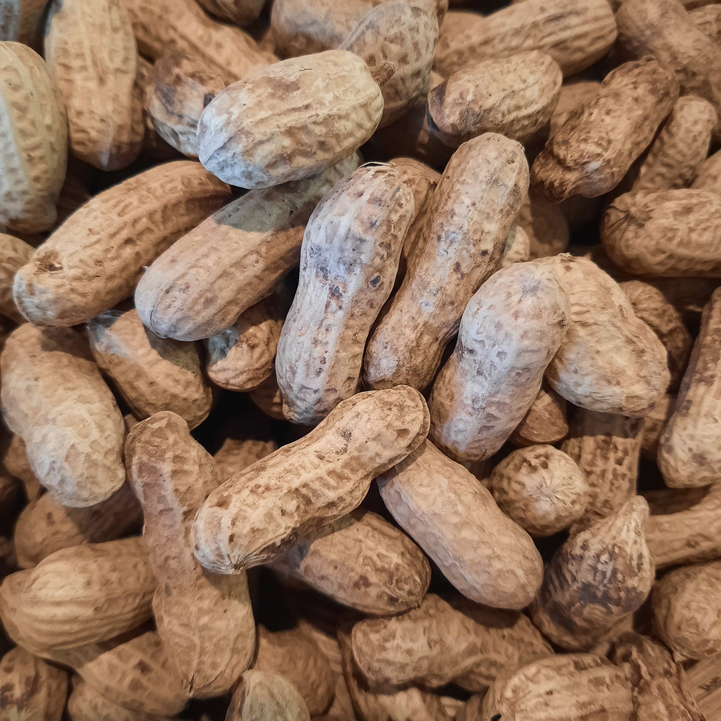 Peanuts - Fire roasted (organic)