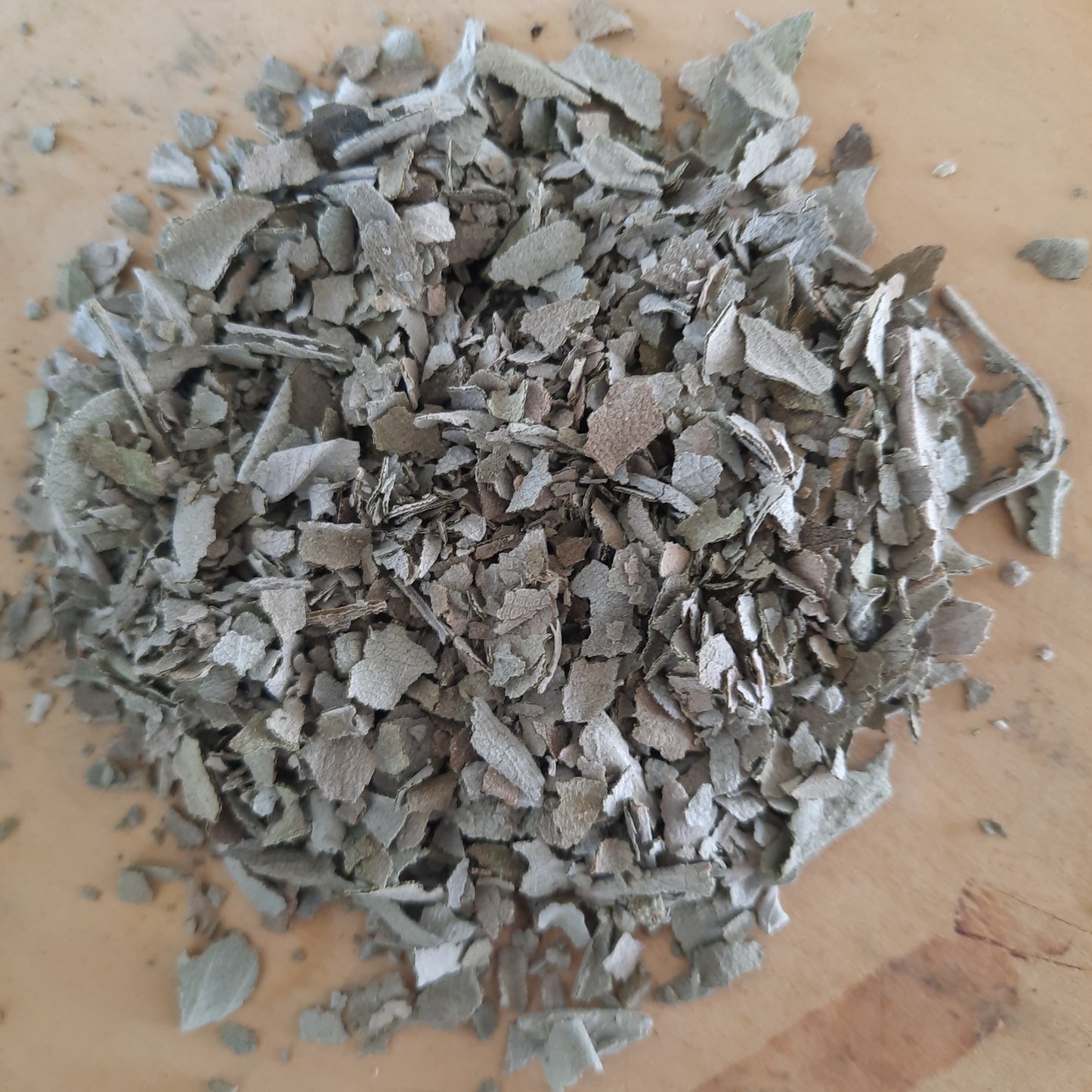 Sage - Waikato grown & spray free