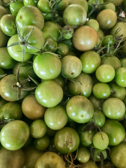 Green tomatoes (spray free)