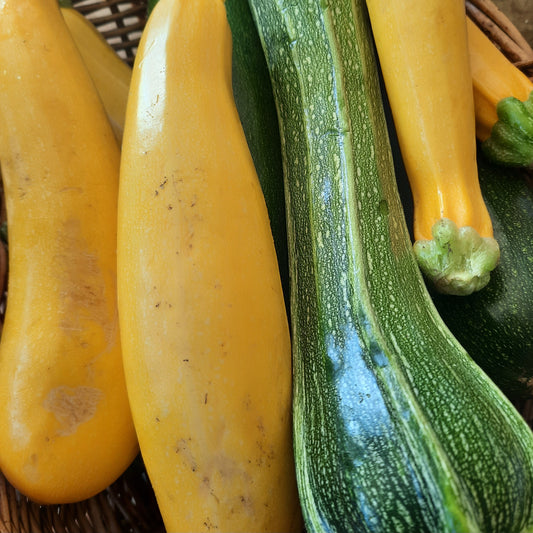 Courgette
