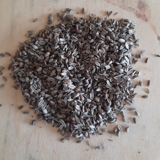 Fennel seed