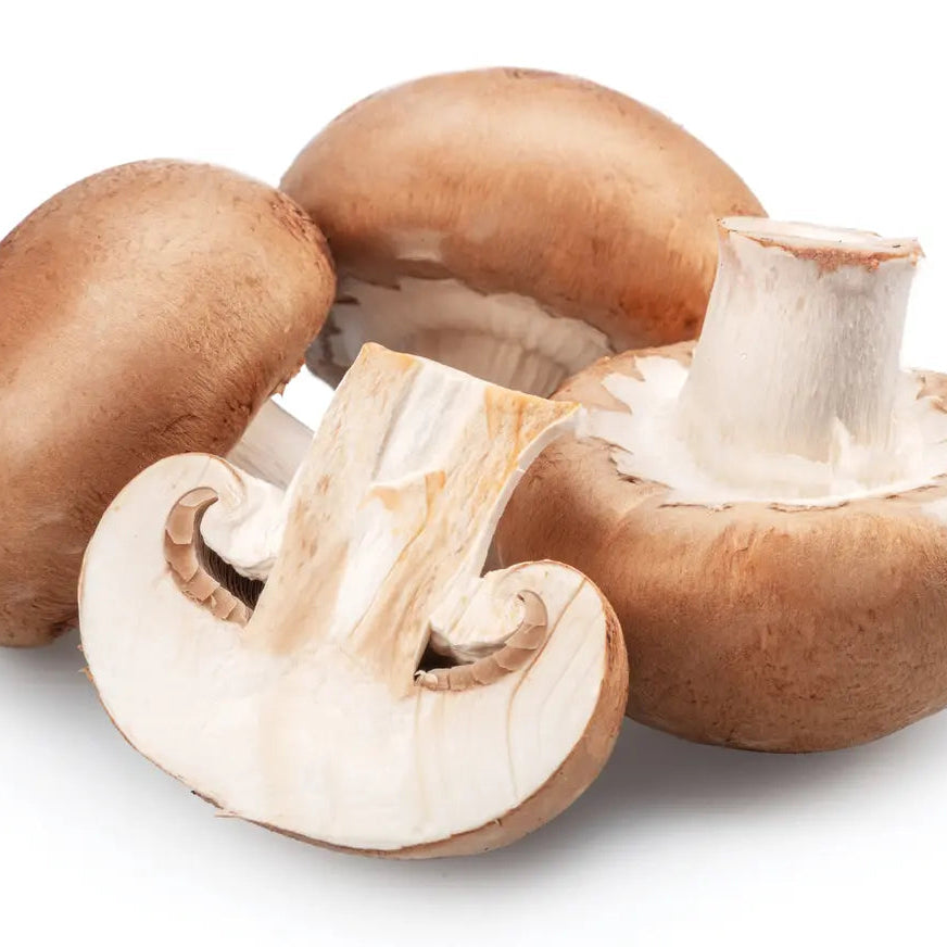 Swss brown mushrooms on a white back ground, with one cut in half