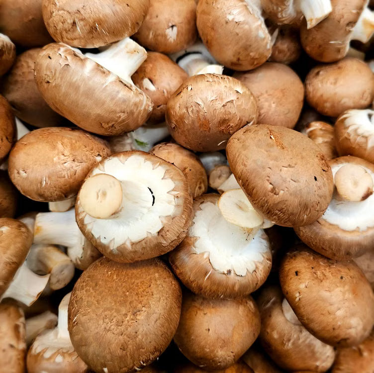 Mushroom punnet - Swiss Brown (Organic)